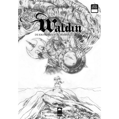 Waldin 1 NL Limited edition