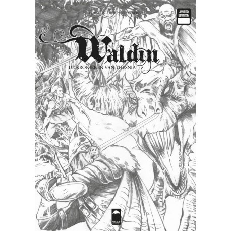 Waldin 2 NL Limited edition
